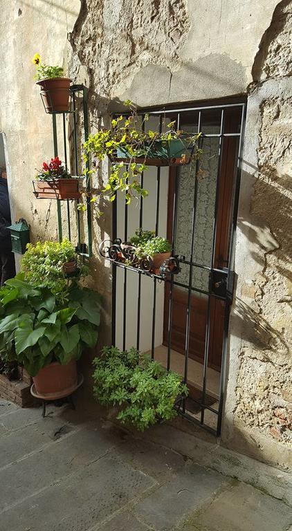 Armaiolo Relax Apartment Rapolano Terme Exterior photo
